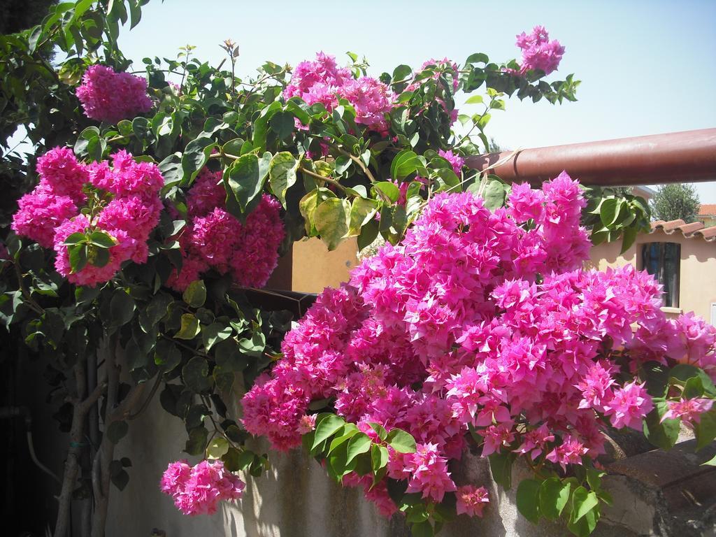 B&B Hibiscus Capoterra Exterior foto